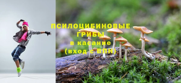 ГАЛЛЮЦИНОГЕННЫЕ ГРИБЫ Абинск